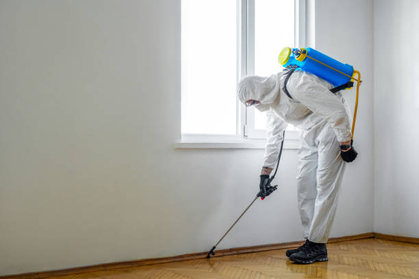 Professional Pest Control in Hollymead, VA